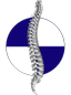 Bentley Chiropractic Logo